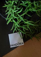 PANDORA Charm Anhänger Herz mit Stern, gravi...