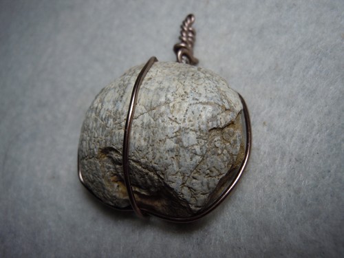 Ancient Fossil Shell Chalcedony Copper Wire Wrap Pendant Kansas Stone 115 Carats - Picture 6 of 12