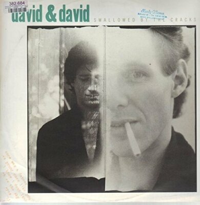 David & David Swallowed by the cracks (1986)  [Maxi 12'']