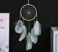 Dream Catcher Room Wall Hanging Decor with LED Light Colorful Green Feather