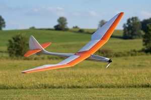 Bird of Time Glider | eBay