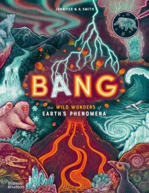 Bang by Jennifer N. R. Smith (Hardback Book)