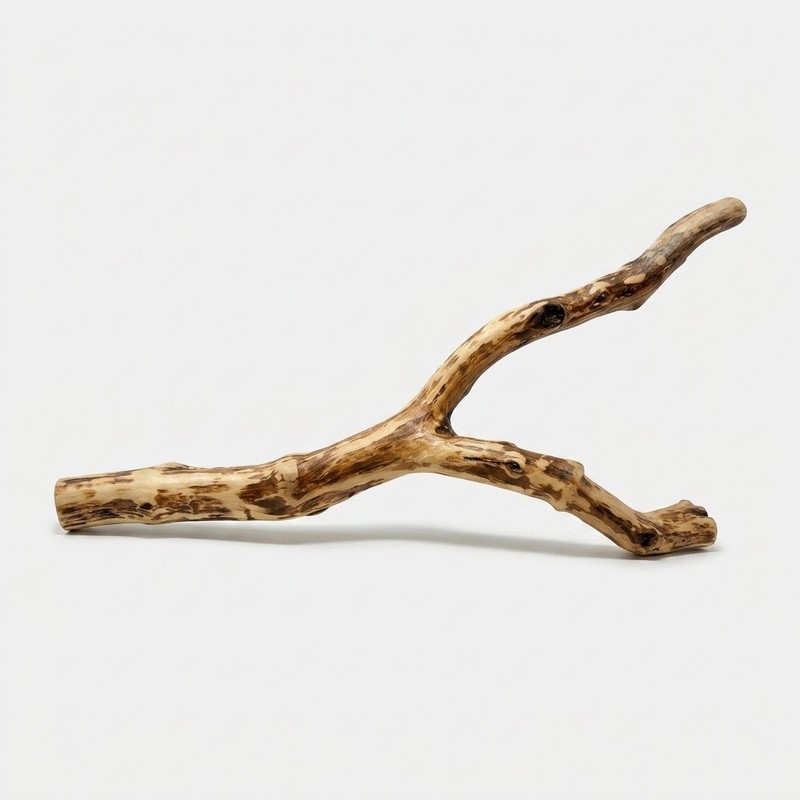 Manzanita Branch Driftwood - LARGE - Reptile/Aquarium /Terrarium/Craft