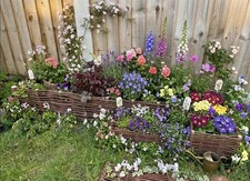 Wicker fencing panel, wicker fence, rattan fence, wicker palisades 120cm