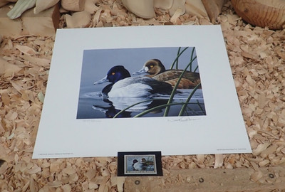 1989-90 federal Duck Stamp ''Lesser Scaup'' by Neal R. Anderson