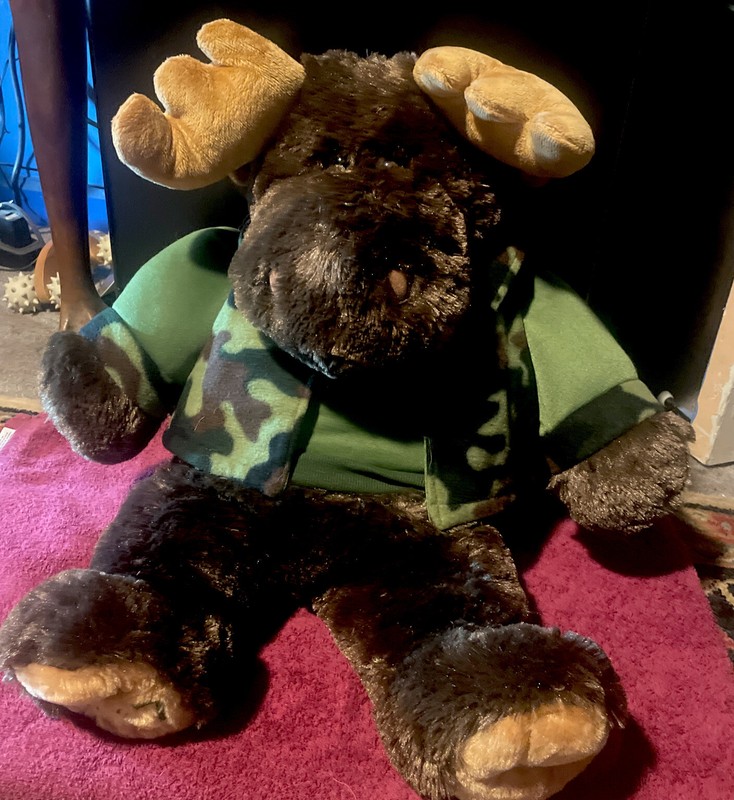 2017 RARE Dan Dee 23" Large Stuffed Moose, Green/Camo Hunter Vest