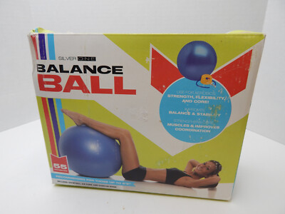 Silver one Balance Ball 55 centimeters with pump NIB