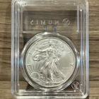 2019 1 oz American Silver Eagle (BU)