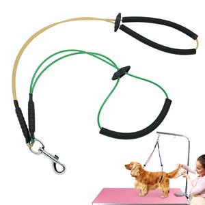 grooming leash