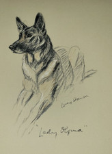 Alsatian Dog Drawing by Lucy Mac Dawson Art Print 1940's "Lady Olfina"