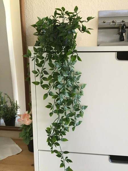 IKEA FEJKA planta en maceta, artificial, colgante, 9 cm planta artificial flores artificiales plantas