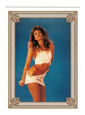 1991 Imagine, Inc. Scream Queens II Hollywood Honeys Card #11 Amy Habermel