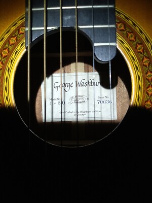 washburn acoustic guitar