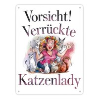 Vorsicht! VerrüCkte Katzenlady Metallschild XL In 21X28 Cm
