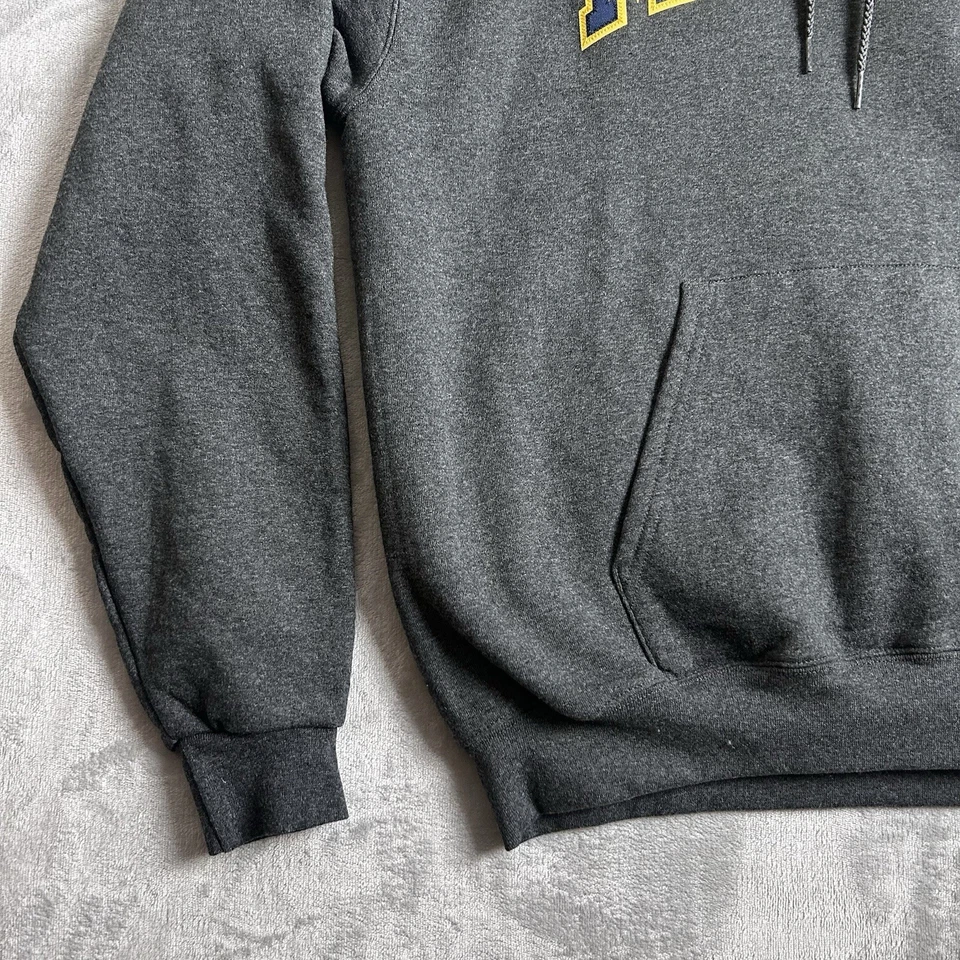 Michigan Wolverines Sweatshirt Mens Large Gray Champion Hoodie Embroidered Y2K - Image 4 of 4