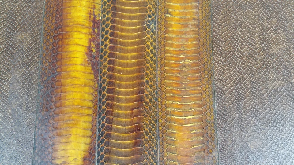 BAÚL EXÓTICO DE PIEL DE SERPIENTE AÑOS 70 CON PATAS DE HIERRO DESPLAZADAS Foto 4 de 4