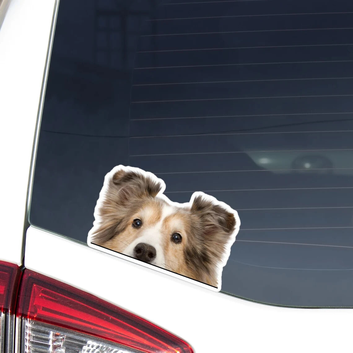 Shetland Sheepdog Car Sticker Peeking Sable Dog Head Face Decal