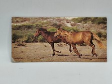 Nestlé MERVEILLES DU MONDE Carte N°177 "le cheval le mustang"