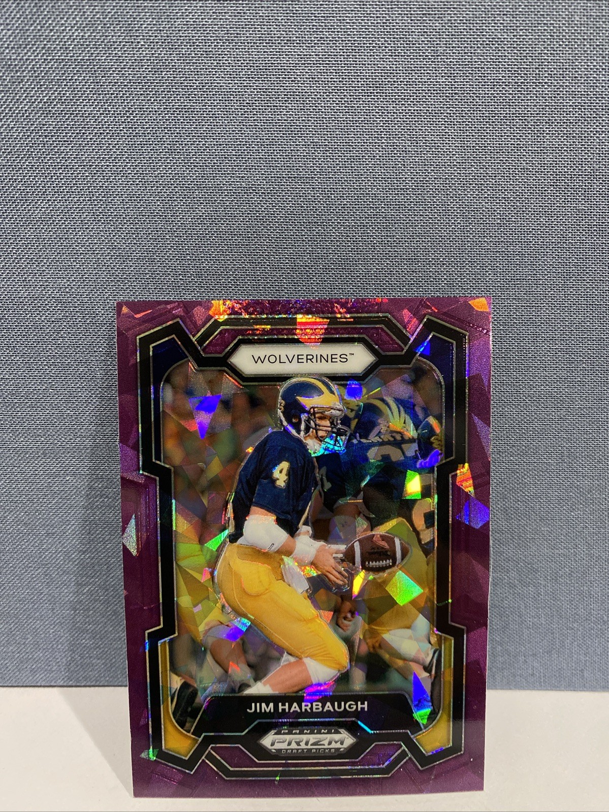 2024 Panini Prizm Draft Picks - Jim Harbaugh #50 Purple Ice Prizm /149