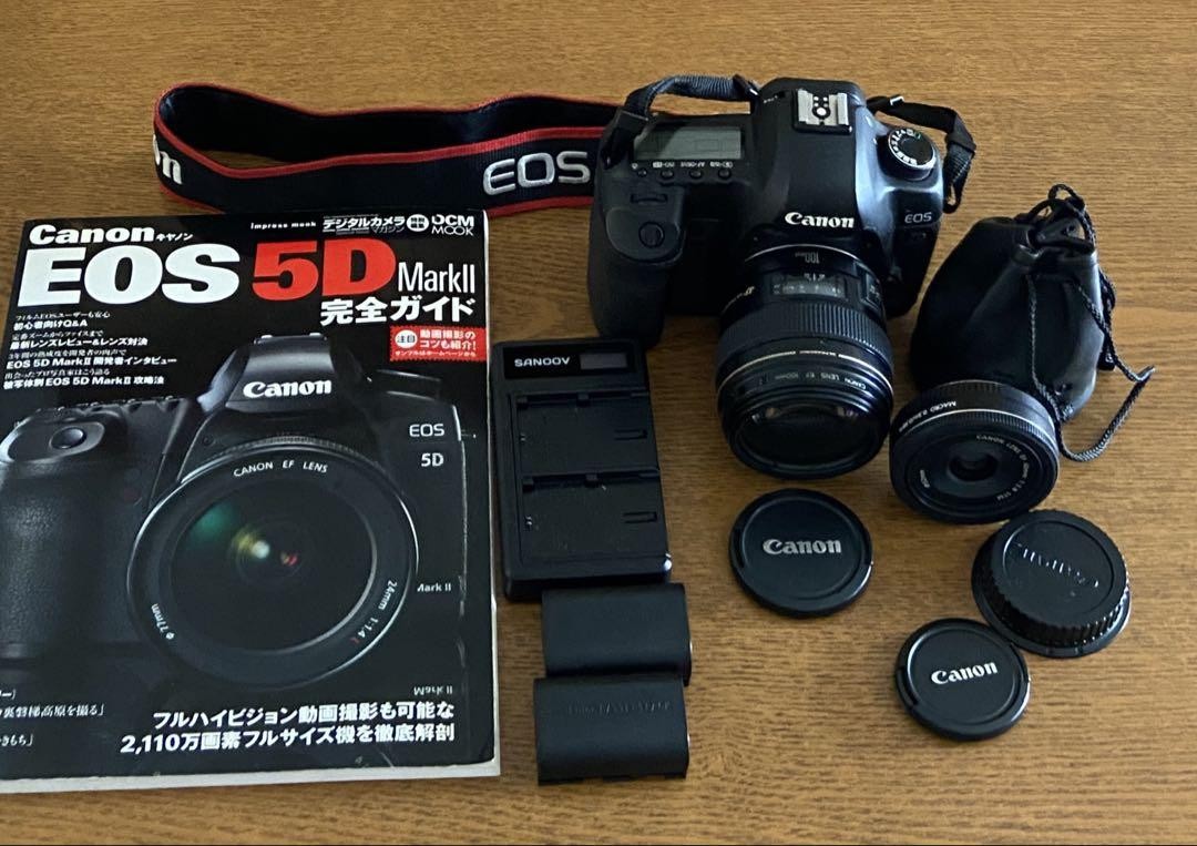 Canon EOS5D markⅡ EF100mm f2 EF40mm f2.8 Review: Canon EF 40mm f/2.8 STM - The Phoblographer