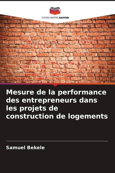 Samuel Bekele | Mesure De La Performance Des Entrepreneurs Dans Les Projets...-image