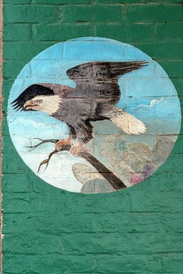 #ad #ad Photo:Port Isabel Texas Champion Building Fish Mural 1906 Eagle Painting $13.49