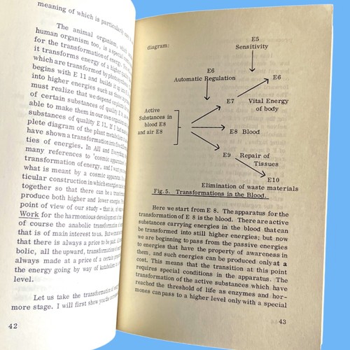 J.G. Bennett- Energies: Material Vital Cosmic (1964 1st Ed) UK DJ PB Gurdjieff - Picture 7 of 7