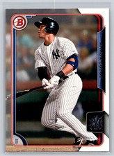 Yankee Greats: 100 Classic Baseball Cards Book Review 18