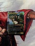 MTG FOIL Shiko and Narset, Unified Commander Tarkir Dragonstorm Borderless NM