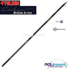 CANNA PESCA BOLOGNESE FALCON CONTESSA SLIM MEDIUM ACTION 6 - 7 - 8 MT FUJI