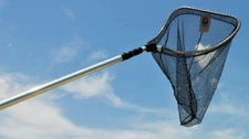Joy Fish Landing Net 20" X 20" Hoop 6.5'-18' Handle Telescoping Black