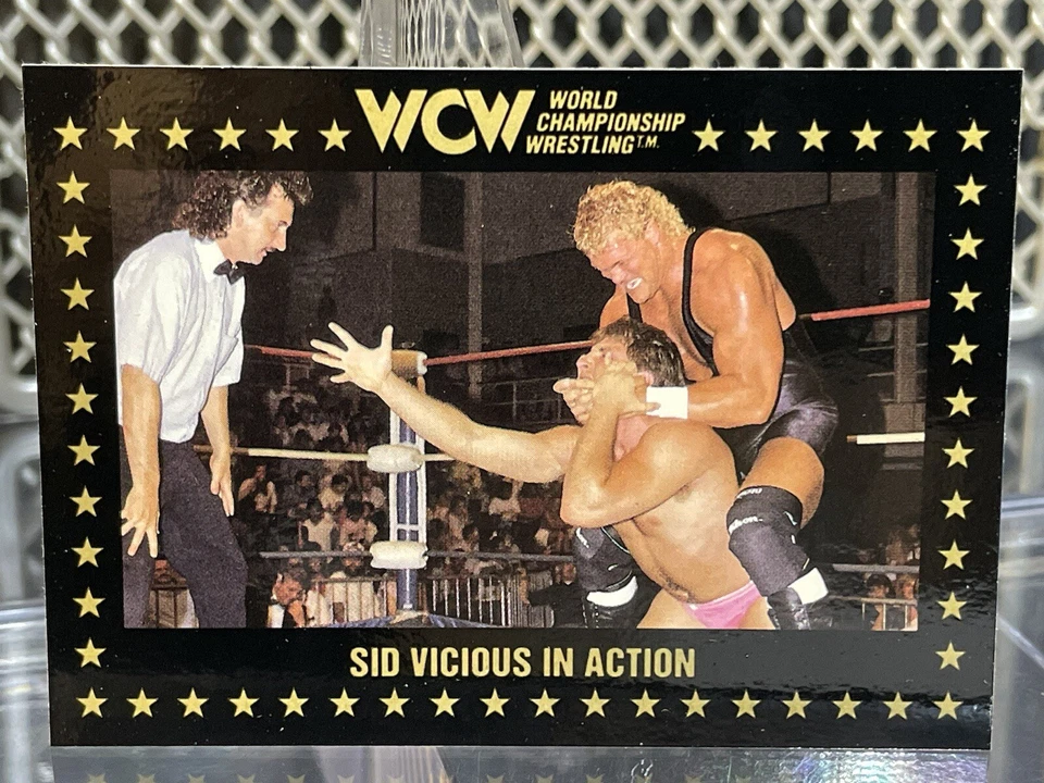 1991 WCW Marketing Sid Vicious Wrestling Card #43 WWE NWA WWF Classic Superstars - Image 2 of 4
