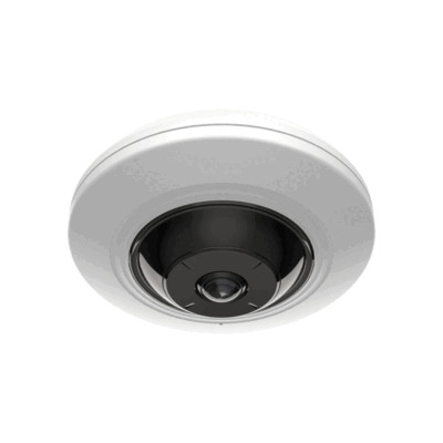 Hikvision OEM DS-2CD2955G0-ISU 5MP IP Fisheye Camera 180° View Indoor Camera Mic