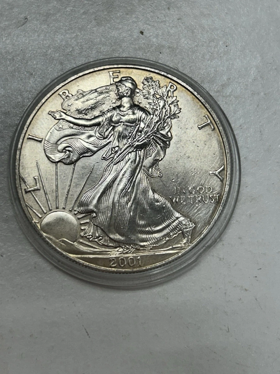American Eagle 2001 Silver Bullion Coins for sale | eBay