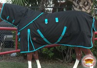 75 Hilason 1200d Winter Cold Horse Neck Cover Surcingle Blanket Black Turquoise on sale 75 Hilason 1200d Winter Cold Horse Neck Cover Surcingle Blanket Black Turquoise on sale