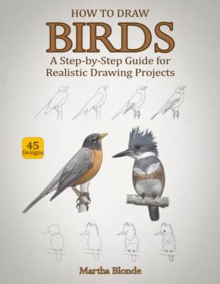 How to Draw Birds: a Step-By-Step Guide for Realistic Drawing Projects
