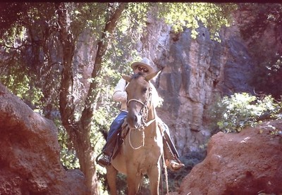 Photograph 35mm Slide July 1986 Arizona Horse Ride Back to Havasu Chuck