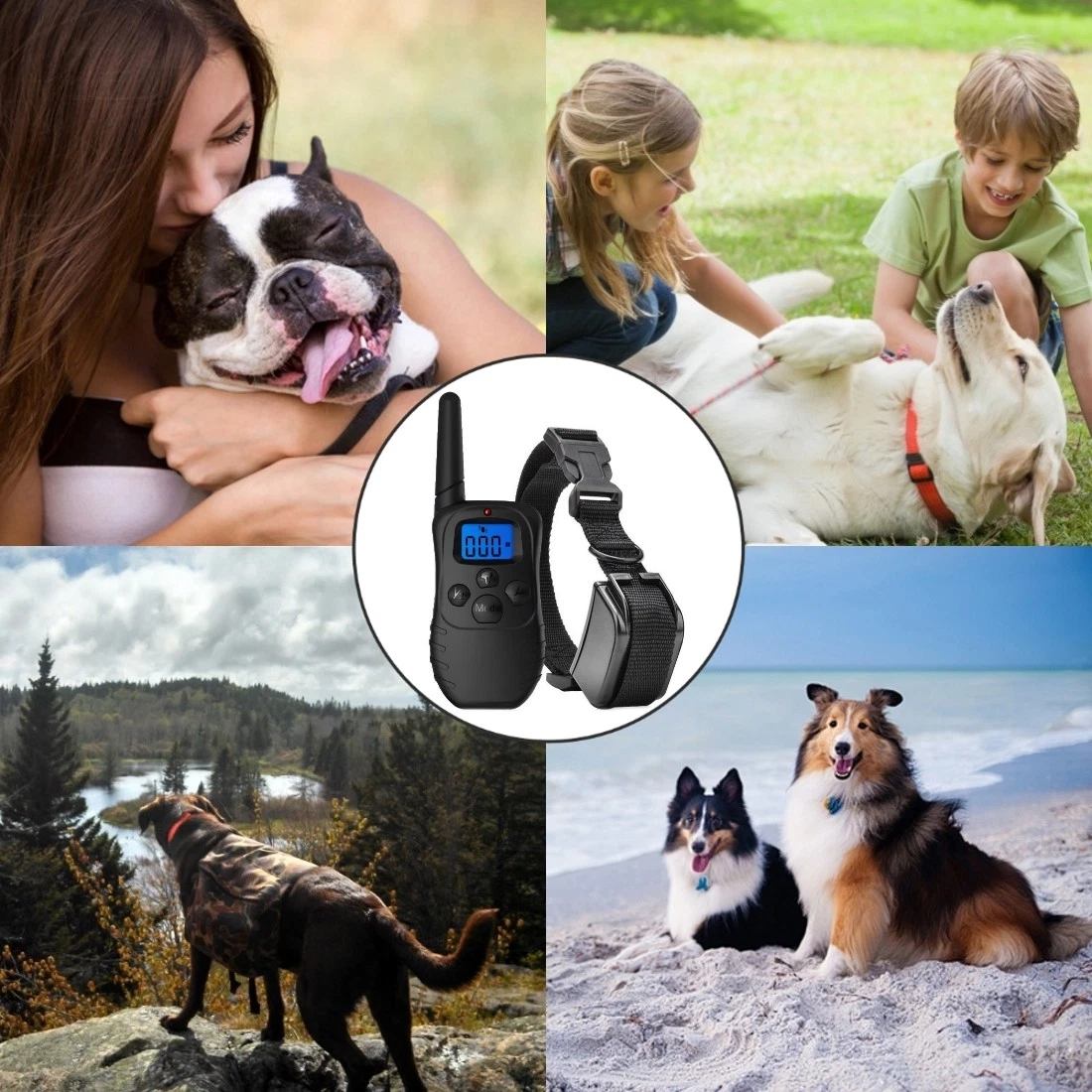 Is It Cruel To Put A Shock Collar On A Dog? INVIROX, 43 OFF