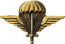 UNIDENTIFIED FRENCH MADE MILITARY AIRBORNE WINGS / PARATROOPER (133)