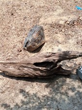 Natural Driftwood Log Wood Piece for Woodworking Craft Material