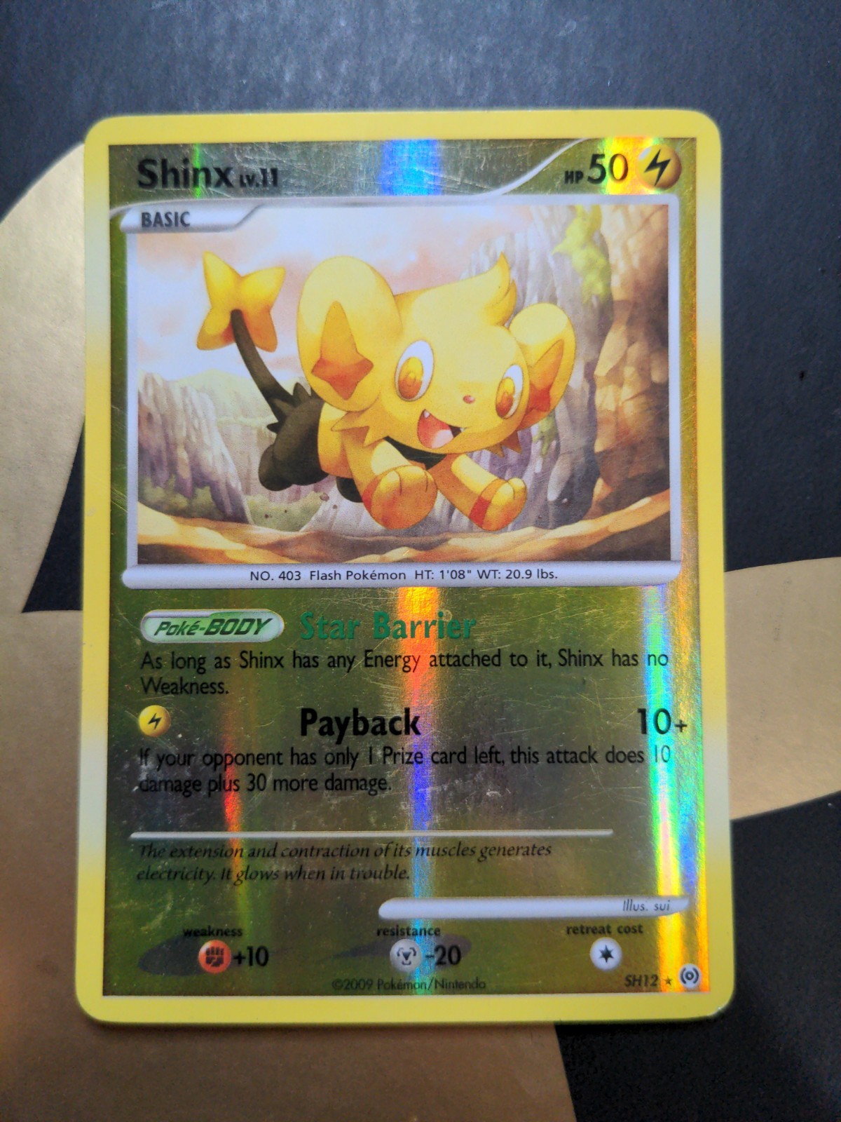 Shinx (Shiny) AR Reverse Holofoil SH12 Arceus LP MP