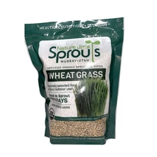 Organic Wheatgrass Seeds - 100% Non-GMO Rich in Vitamins - 1 lb