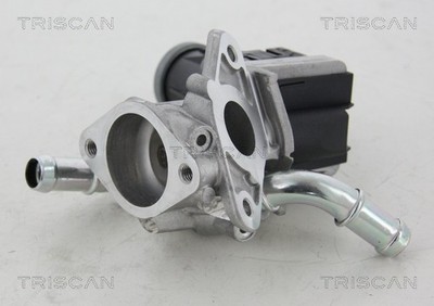 TRISCAN 8813 16036 AGR-Ventil für FORD