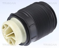 Hinterachse Links Triscan 8720 23201 Luftfeder, Fahrwerk FüR MERCEDES-BENZ