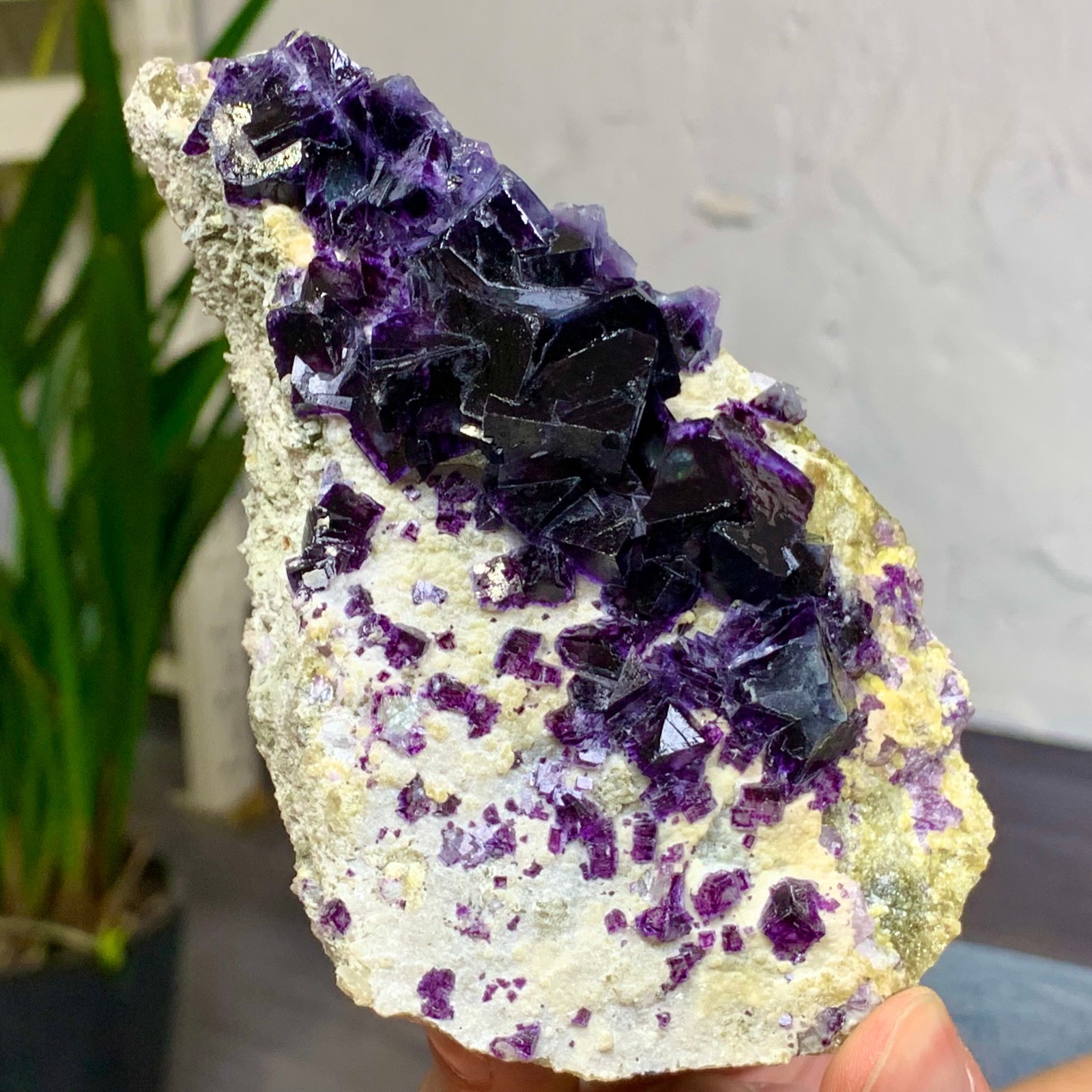 429G Natural purple Phantom Cube fluorite mineral Crystal specimen/Yaogangxian