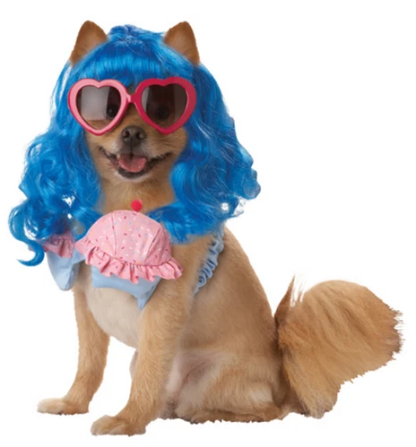 Pet Dog Funny Pup-A-Razzi Cupcake Girl Super Pop Star Costume W/ Glasses