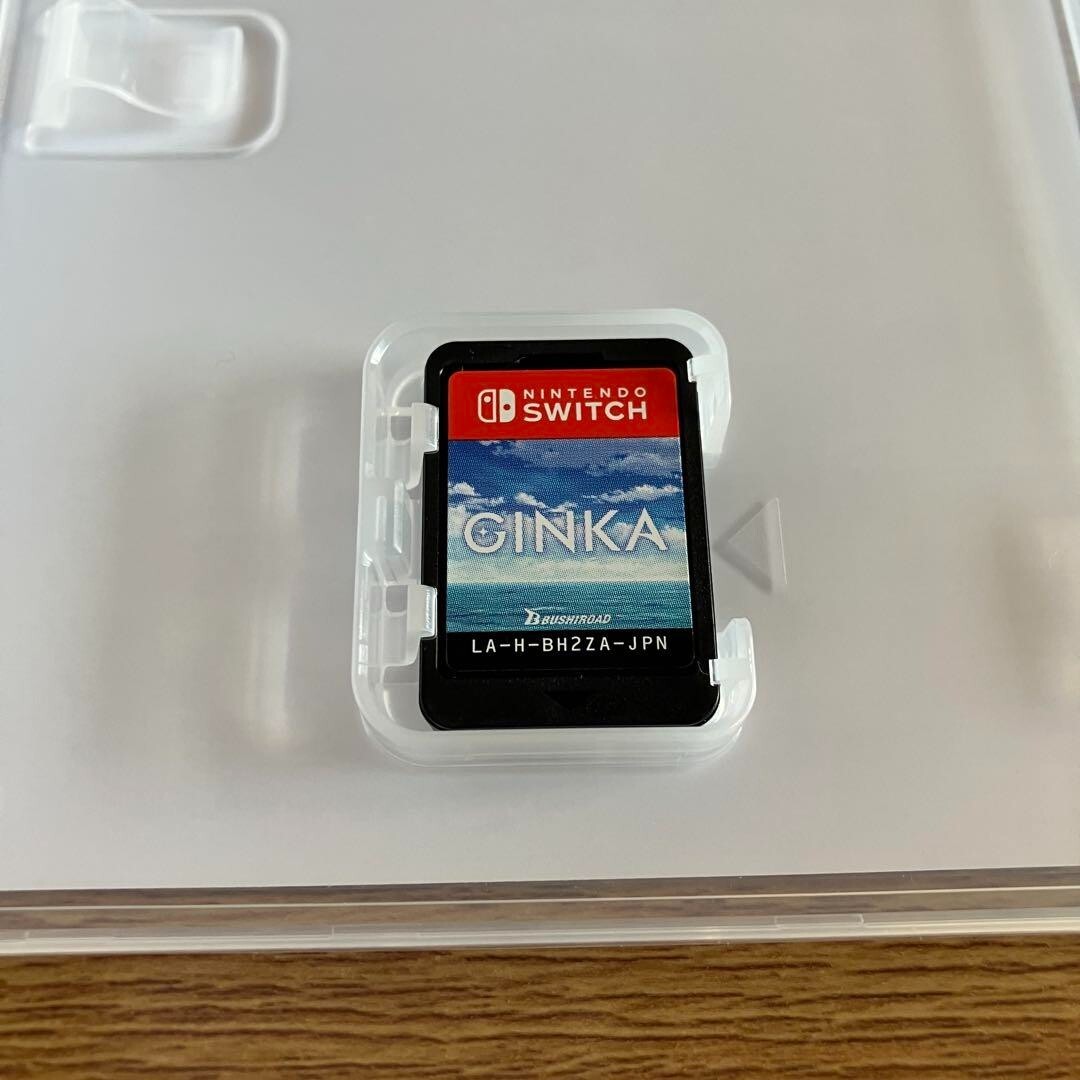 GINKA Nintendo Switch Front wing Japanese version | eBay