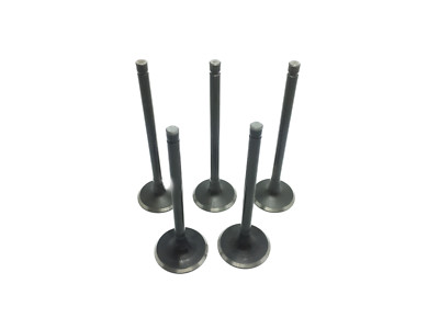 Intake Valve and Exhaust Valve Fit 750 HiSun Massimo Vector Tactic RK Sector