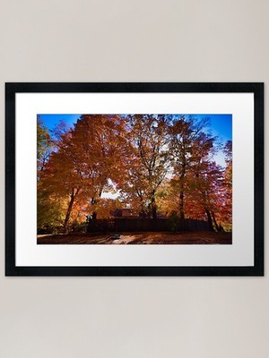 Minnesota Fall Framed Art Print Framed Wall Art Poster Canvas Print Picture