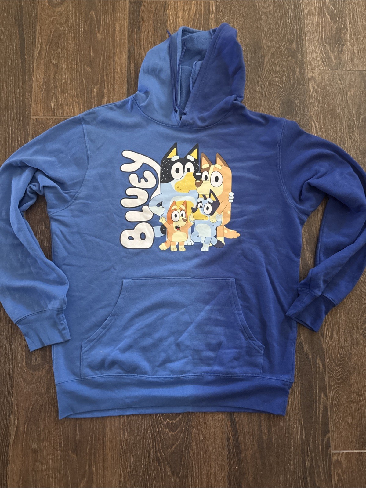 Bluey Men's & Big Men's Dip Dye Graphic Hoodie Sweatshirt Size M